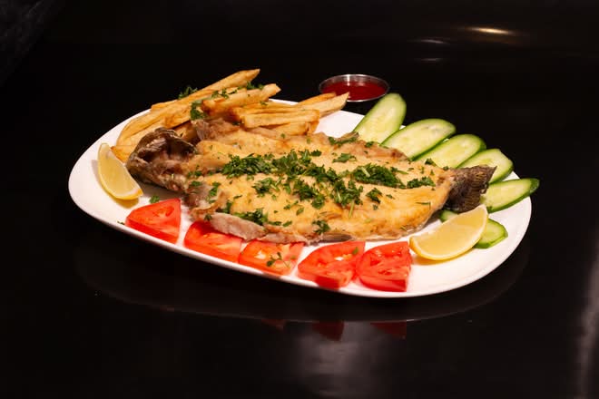 Trout Fish